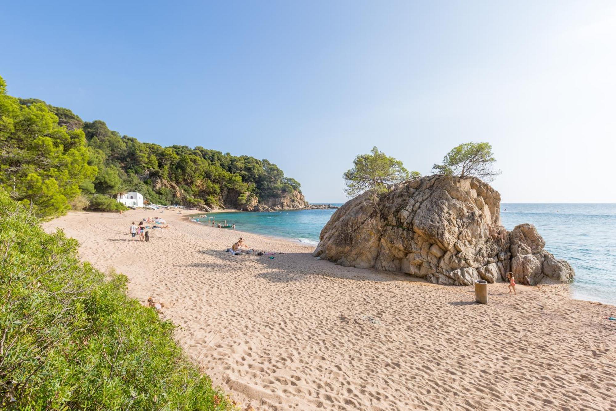 Crisantemo Villa Lloret de Mar