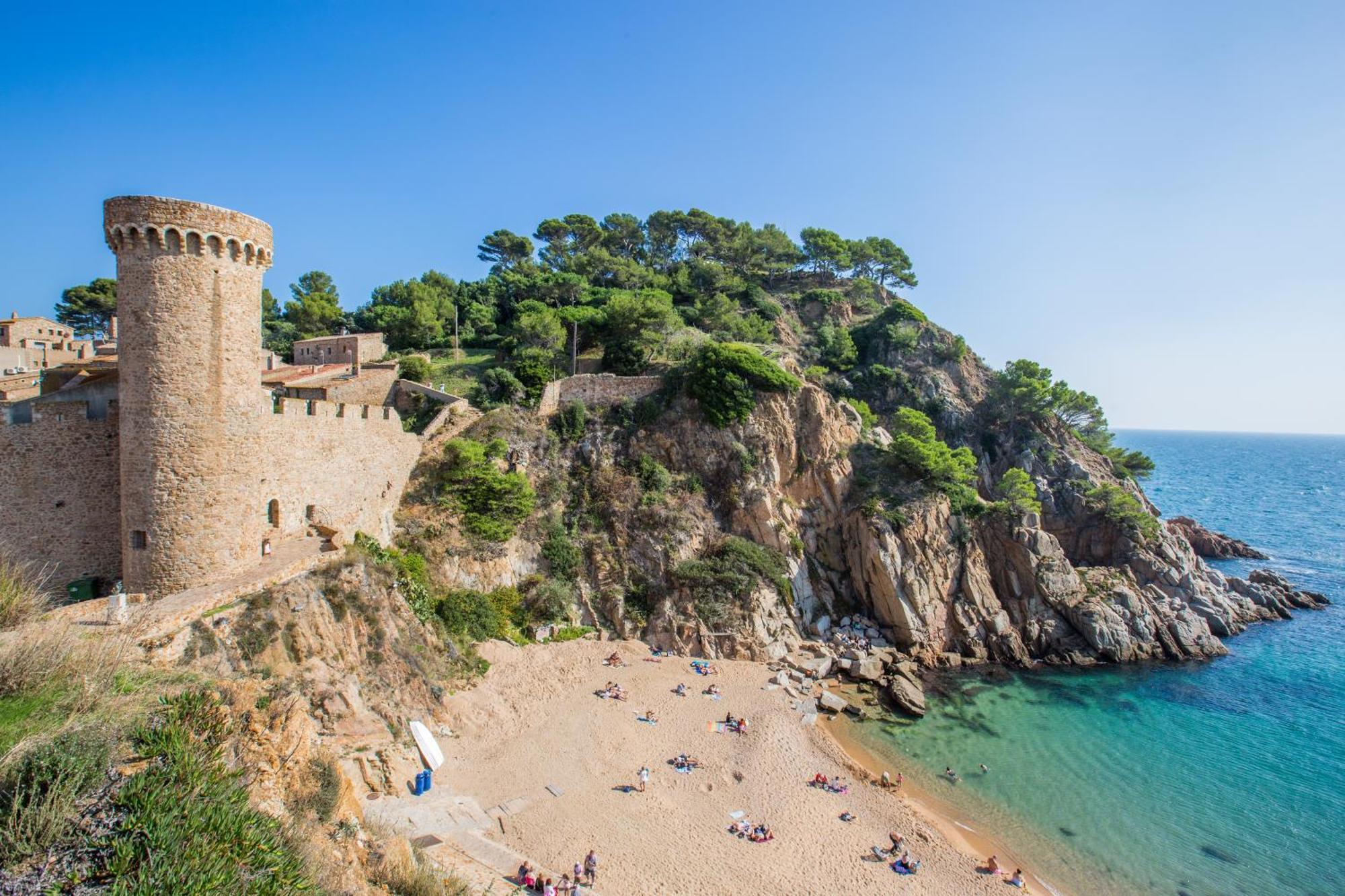 Crisantemo * Lloret de Mar