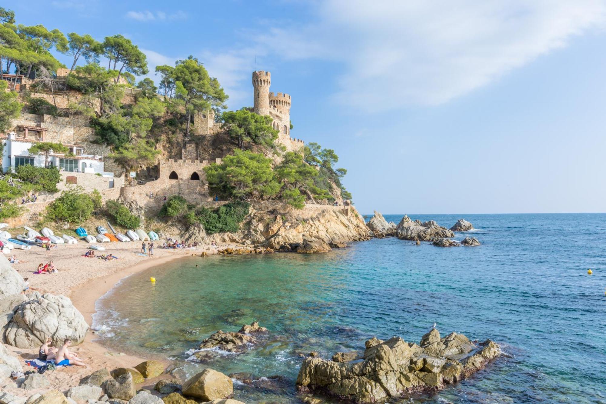Crisantemo * Lloret de Mar